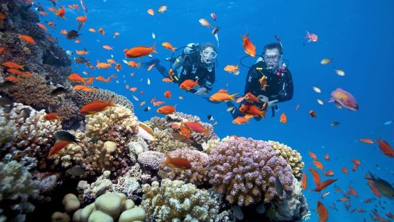 Nha Trang: Scuba Diving Tour with Lunch and Drinks