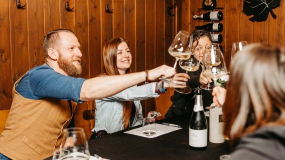 Vienna: tour di degustazione di vini