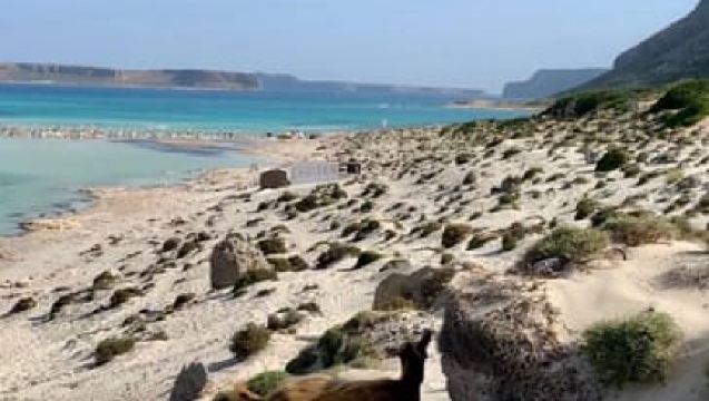 Balos Beach Off-Road Bus – Daily Departure from Kissamos