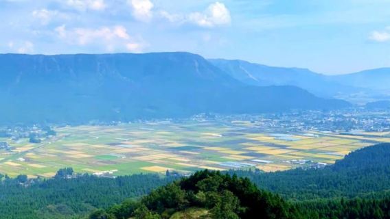 日本九州-熊本來回-大分海之卵水族館-春日神社-大分精品遊