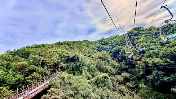 Beijing Small Group Tour to Mutianyu Great Wall and Summer Palace with Lunch and Cable Car