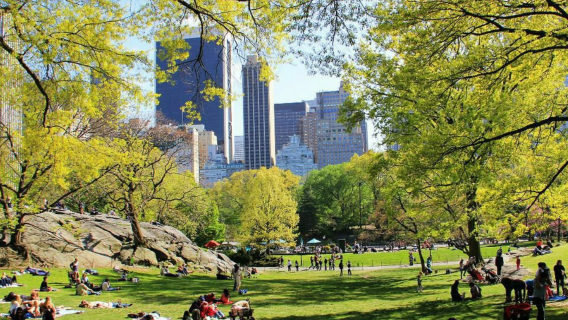 日遊:紐約公共圖書館+中央公園+華盛頓廣場公園+911紀念館