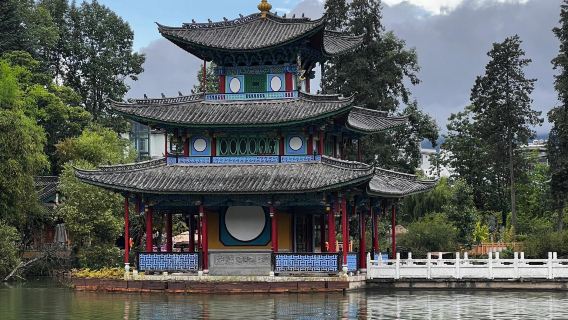 однодневный тур по Старому городу Куньмина, парку Хэйлунтань и Дикому парку Юньнань с услугами на китайском и английском языках