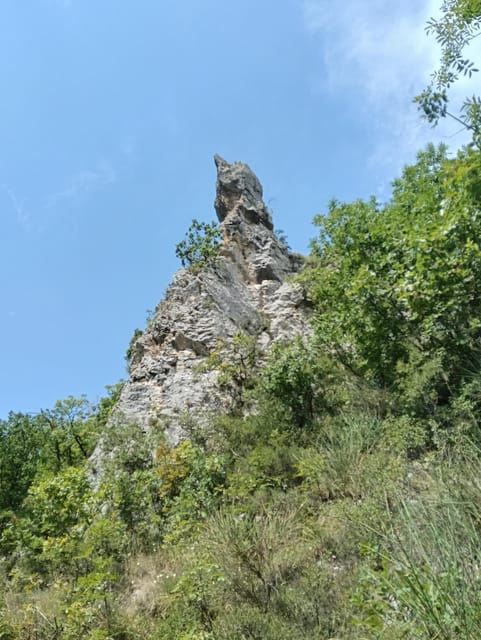 Collepardo: Trisulti Charterhouse and Hermitage Guided Hike