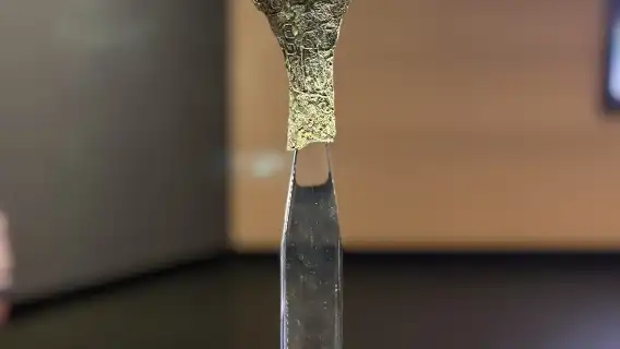 殷墟博物館導覽拼團/私人導覽3小時導覽