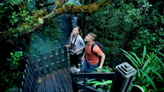 FROM CAMERON HIGHLANDS: MOSSY FOREST & BOH TEA PLANTATION (PRIVATE)