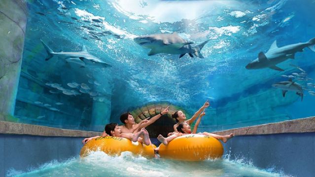 Harbin Hongzhuan Morning Market + Siberia Tiger Park + Poseidon Ocean Kingdom private charter 1-day tour