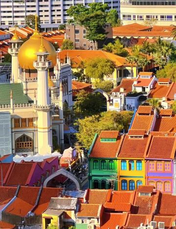 Lawatan Sehari Muzium Negara Singapura + Kampong Glam + Universiti Teknologi Nanyang Singapura + Haj
