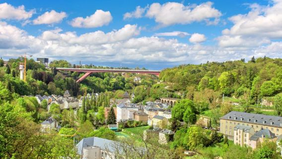 盧森堡全境|商務研學考察|展會翻譯|旅遊陪同|醫學翻譯|名校導覽|中文/英文|其他語言（請提前諮詢顧客服務中心）