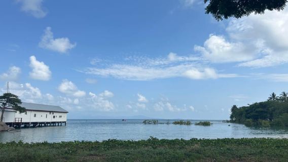 Cairns: Tagesausflug nach Cape Tribulation, Mossman Gorge & Daintree