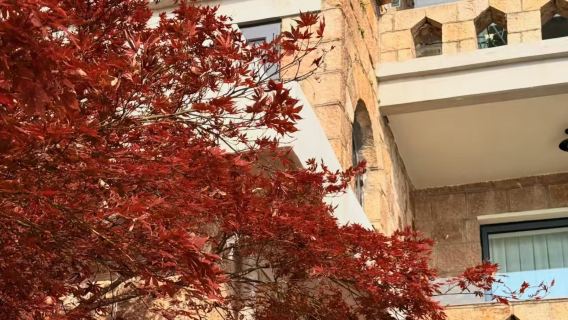 莫干山風景名勝區半日遊【含門票+景區接駁+2小時人文導覽】