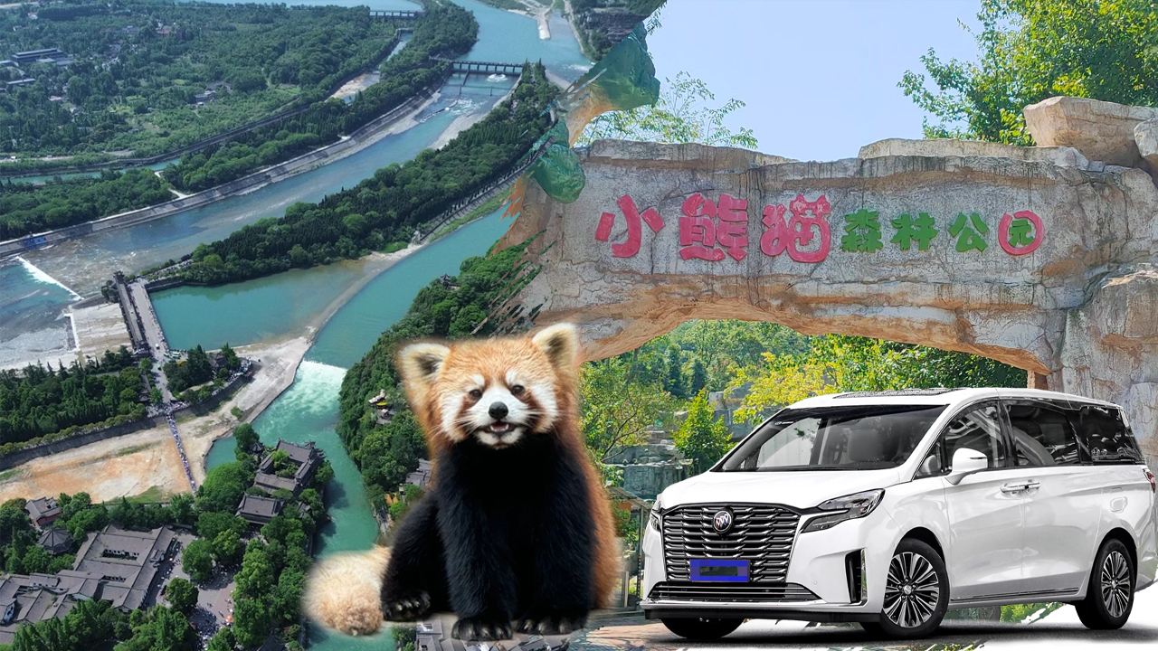 Dujiangyan & red panda private chartered tour (departing from Chengdu)