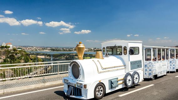Treno Magico di Porto: Biglietto d'Ingresso