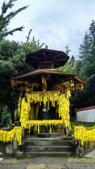 Shennong Peak Scenic Area + Shennongjia Dajiuhu Private Charter Day Tour in Hubei with Chinese-English Service