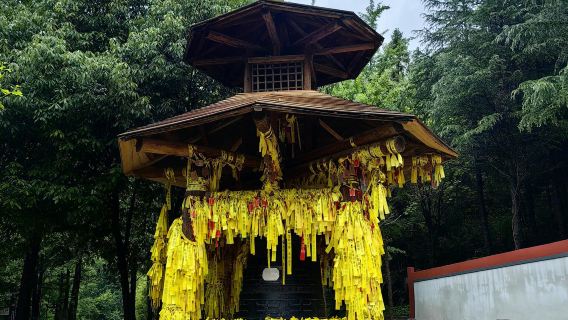 Hubei Shennongjia Shennongding tempat wisata + Shennongding Dajiuhu perjalanan satu hari ( tersedia layanan bahasa Inggris)