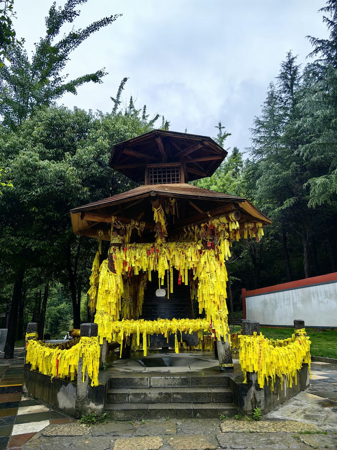 Shennong Peak Scenic Area + Shennongjia Dajiuhu Private Charter Day Tour in Hubei with Chinese-English Service