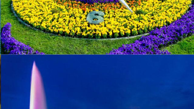 Lake Geneva - Ariana Museum - Patek Philippe Museum - L'Horloge Fleurie - Geneva Jet d'eau