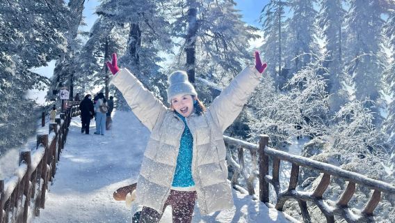 瓦屋山風景區一日遊【純玩無購物丨觀霧凇•賞雪景戲雪】