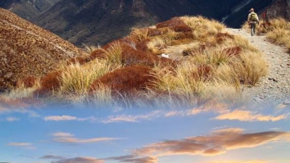 Tagesausflug zum Arthur's Pass ab Christchurch (über Castle Hill)