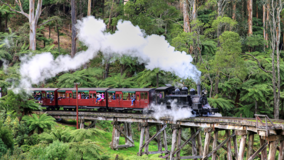 Melbourne Puffing Billy Railway + Healesville Sanctuary Day Tour [English-Speaking Quality Group]