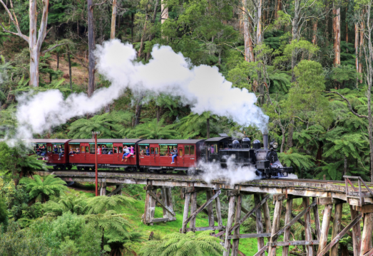 Melbourne Puffing Billy Railway + Healesville Sanctuary Day Tour [English-Speaking Quality Group] AUD 233.4