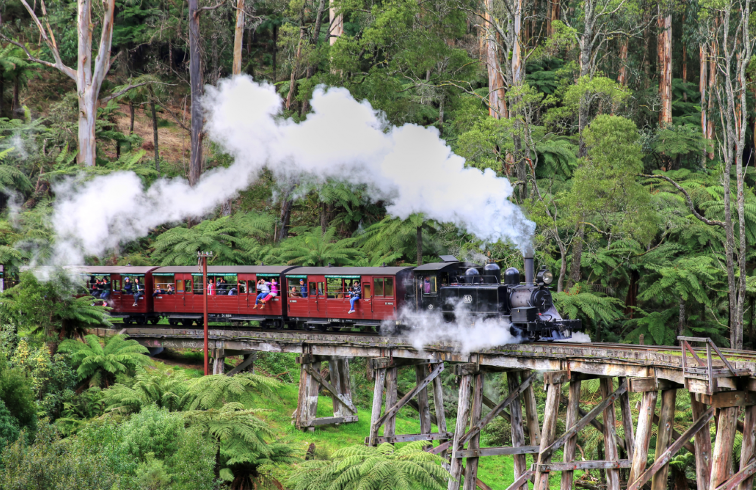 Melbourne Puffing Billy Railway + Healesville Sanctuary Day Tour [English-Speaking Quality Group]
