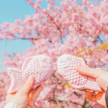 Cherry Blossom Special] 1-Day Tour to Jogasaki Coast + Sakura-no