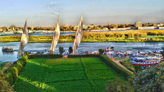 Private Felukenfahrt und Bananeninsel mit Mittagessen in Luxor