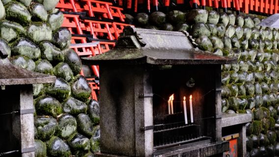 ลูบกวางเที่ยวอาราชิยาม่า · นาระ เกียวโต ทัวร์แบบกรุ๊ปรวมคลาสสิกเยียวยาจิตใจ พร้อมไกด์นำเที่ยวภาษาอังกฤษ (รวมอาหาร)