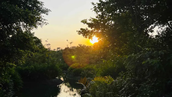 中文包車-河川生態園+夜間野生動物園一日遊-上門接駁