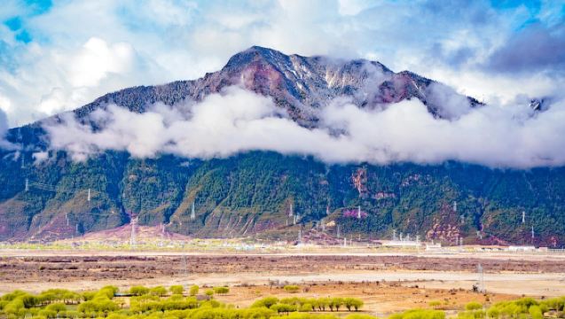 "Mengejar Impian Bunga": Musim Bunga Terhad di Nyingchi: Taman Bunga Persik Gala + Tasik Galang