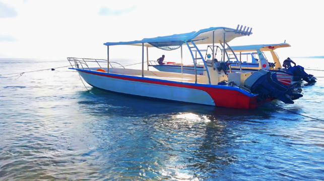 [峇裡島出發] 佩妮達島 3次浮潛+船票+俱樂部午餐+包車