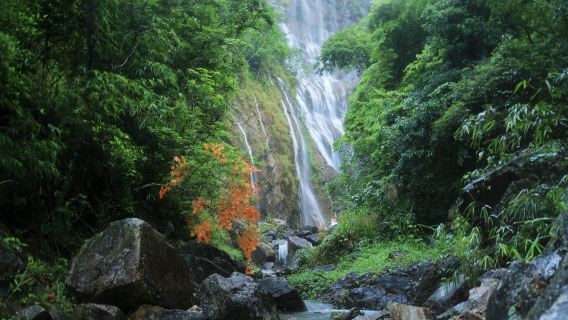Lawatan Sehari di Taman Hutan Sungai Liuxi Conghua + Kampung Xitou + Air Terjun Besar Qianlong + Pengangkutan Kumpulan Kecil Peribadi