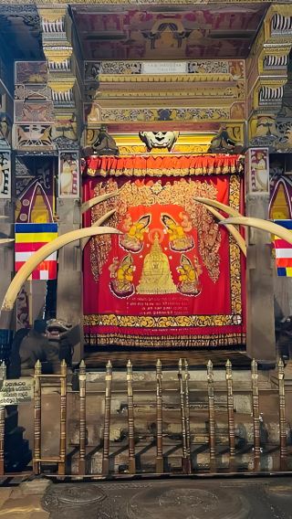 ศรีลังกา|ตลาดปลาเนกอมโบ + วัดพระเขี้ยวแก้ว + ทะเลสาบแคนดี้ + สวนพฤกษศาสตร์หลวง|สามารถปรับแต่งได้&