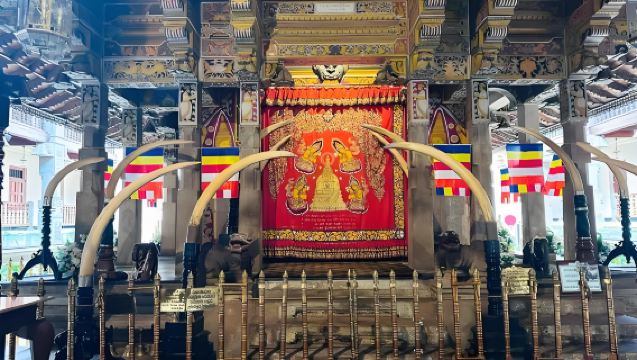 ศรีลังกาโคลัมโบ | ตลาดปลานิกอมโบ + วัดพระเขี้ยวแก้วแคนดี + ทะเลสาบแคนดี้ (ไม่รวมตั๋วเข้า)