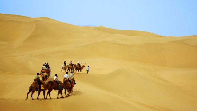 Inner Mongolia Baotou: Whistling Dune Bay + Baotou Ancient City 1-day Tour | Multilingual Guide | Private Charter Customization