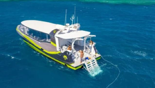 Gran Barrera de Coral y Playa Whitehaven: Excursión Guiada de Snorkel