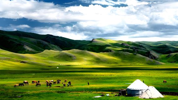 Excursion d'une journée à Hejing Bayanbulak et sur l'autoroute Duku en voiture avec chauffeur [Vivez quatre saisons en un jour]