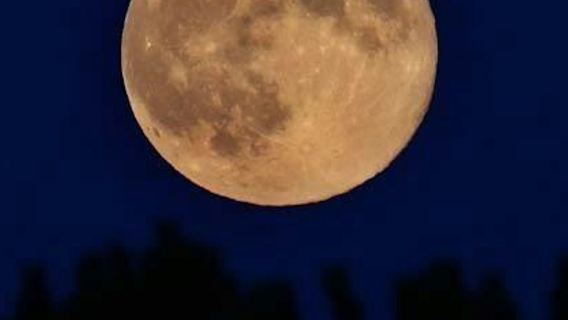 Tour de Fantasmas y Misterios de Cayo Hueso