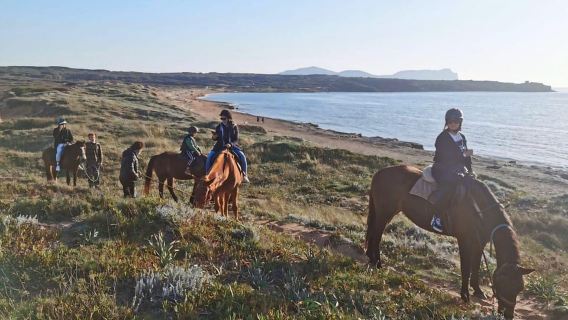 Alghero: horseback riding for experts in Lake Baratz