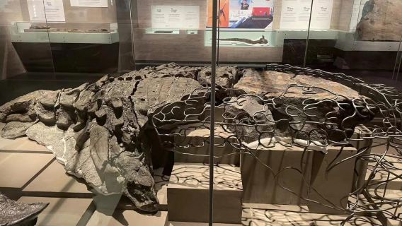 Kanada: Ottawa + Muzium Sejarah + Hutan Simpan | Itinerari Fleksibel M