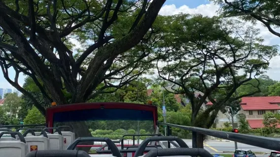 Singapur Big Bus: bus turístico con subida y bajada libre (visita panorámica con techo descubierto + dos rutas turísticas + vista completa de la ciudad león + flexibilidad para explorar)