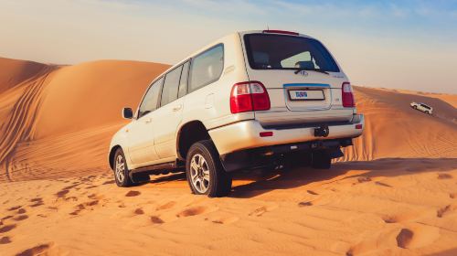 Dubai Desert Camp Experience: Standard Red Dune Desert Safari, Sand Boarding, and Buffet Dinner 4