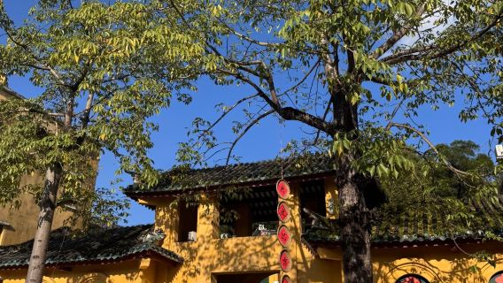 Jiangmen Jalan Tiga Puluh Tiga Xujie + Syurga Burung Kecil Xinhui + Rumah Lama Liang Qichao lawatan sehari [Pengangkutan Kumpulan Kecil Persendirian]