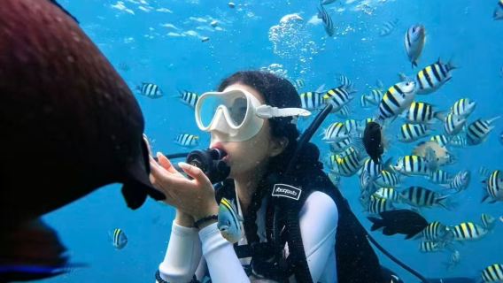 Selam Skuba di Teluk Haitang Sanya + Jurulatih Profesional + Rakaman Bawah Air Percuma + Peralatan Menyelam Termasuk