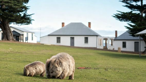 Receptivo local na Tasmânia | Passeio de um dia na Ilha Maria, Tasmânia, Austrália | Traslado incluso com saídas diárias