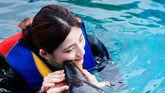 Okinawa genki village dolphin swim experience | professional guide supervision + zero-distance interaction + suitable for all ages