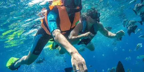 墨西哥坎昆來回中文團|穆赫雷斯島珊瑚礁出海浮潛+島內一日遊 含票