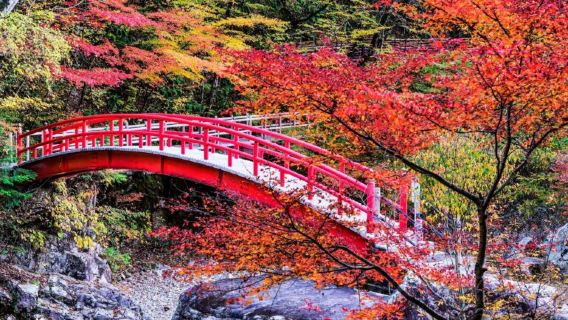 [Salida desde Nagoya] Magome-juku + Tsumago-juku + Cascada Ryujin excursión de un día | Secreto de arces en otoño