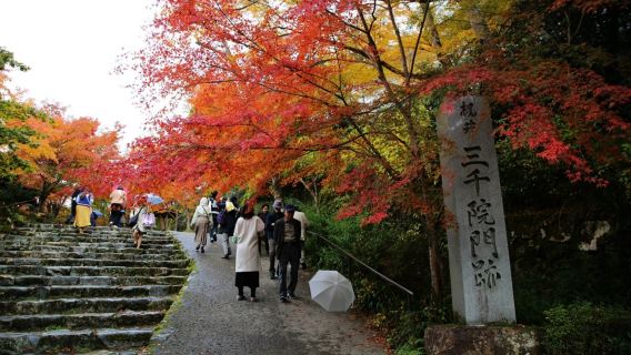 日本京都來回+嵐山+渡月橋+貴船神社一日遊【中文包車上門接】